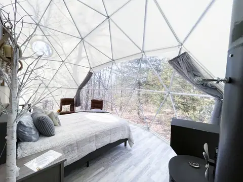 Queen bed at the foot of the 20-foot bay window, woods filling the view